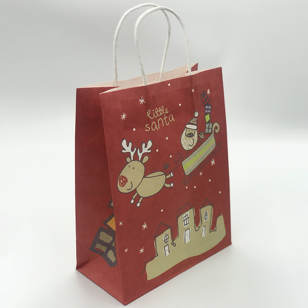 Eco-friendly paper shopping bag (1)